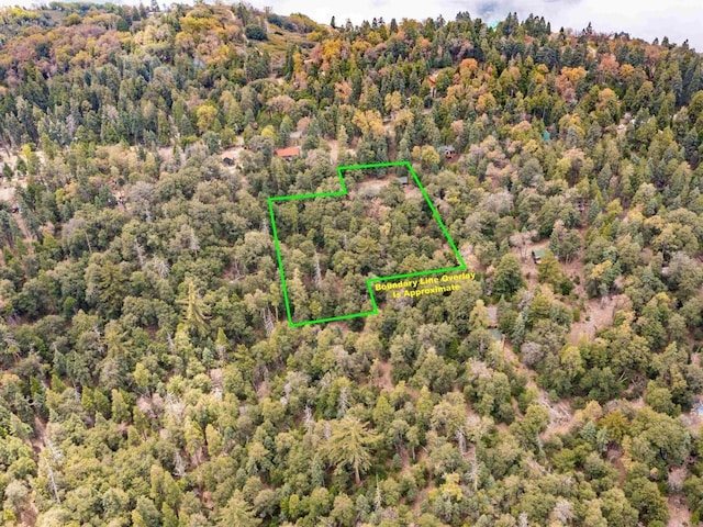 21932 Crestline Rd, Palomar Mountain, CA 92060 - aerial overview of property's location with a forest and property parcel outlined