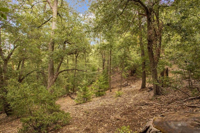 21932 Crestline Rd, Palomar Mountain, CA 92060 - view of woods