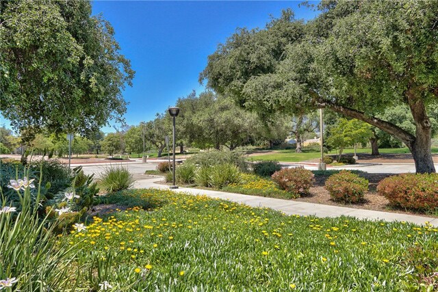 view of property's community