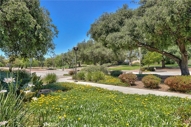 1272 W 25th St, Upland, CA 91784 - photo 42