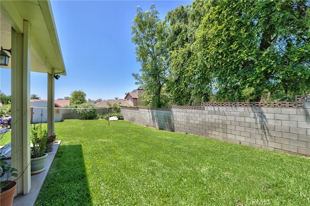 view of yard