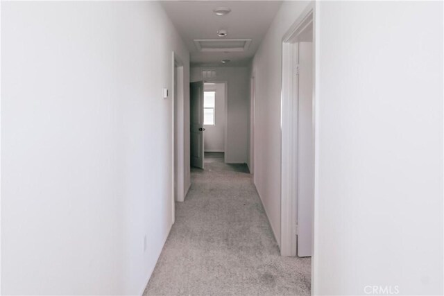 959 Rockcress Ln, Banning, CA 92220 - corridor with light carpet and attic access