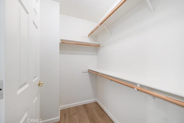 2923 Cottage Ln, Paso Robles, CA 93446 - spacious closet featuring light wood-style flooring