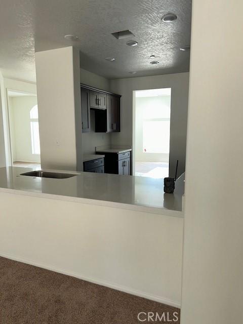kitchen with carpet floors and light countertops