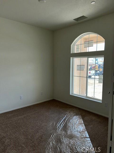 carpeted empty room with healthy amount of natural light and baseboards