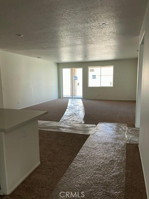 carpeted living area featuring plenty of natural light and a textured ceiling