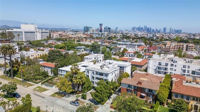 bird's eye view of a skyline view