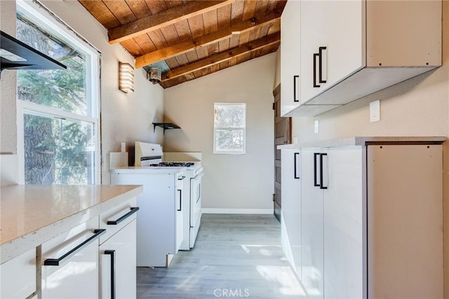33350 Robin Dr, Green Valley Lake, CA 92341 - laundry room featuring wooden ceiling, healthy amount of natural light, light wood-style floors, and baseboards