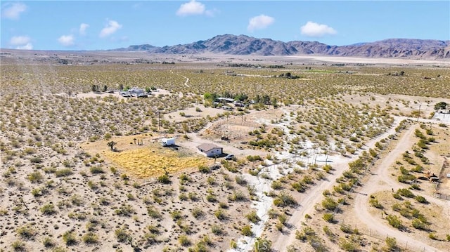 30229 Bourbon Rd, Lucerne Valley, CA 92356 - photo 20