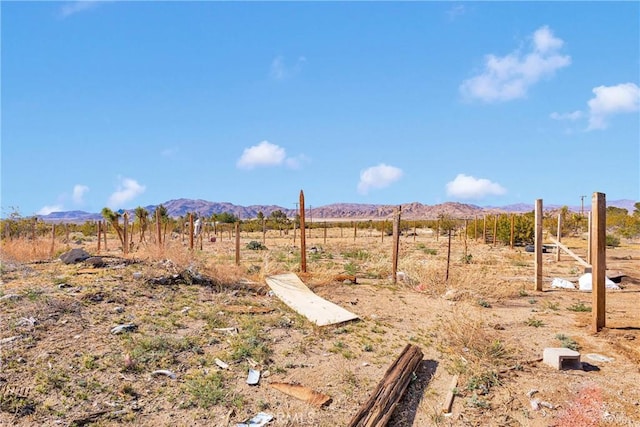 30229 Bourbon Rd, Lucerne Valley, CA 92356 - photo 19