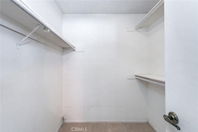 spacious closet featuring light colored carpet