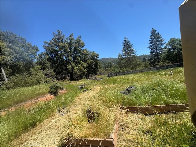 3260 E Westfall Rd, Mariposa, CA 95338 - view of woods