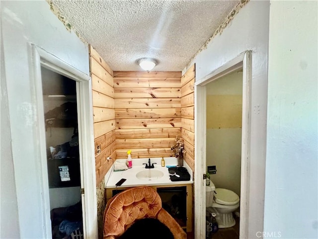3260 E Westfall Rd, Mariposa, CA 95338 - bathroom featuring a textured ceiling, toilet, and a sink