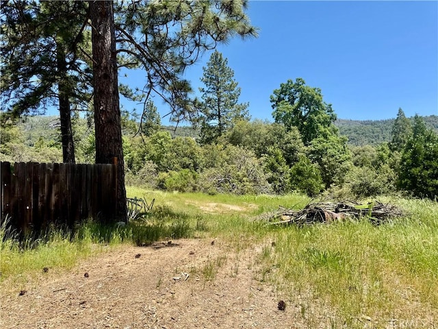 3260 E Westfall Rd, Mariposa, CA 95338 - view of tree filled area