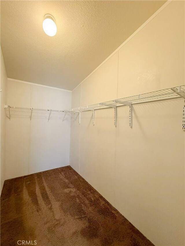 74804 Amboy Rd Unit 29, Palms, CA 92277 - walk in closet with carpet