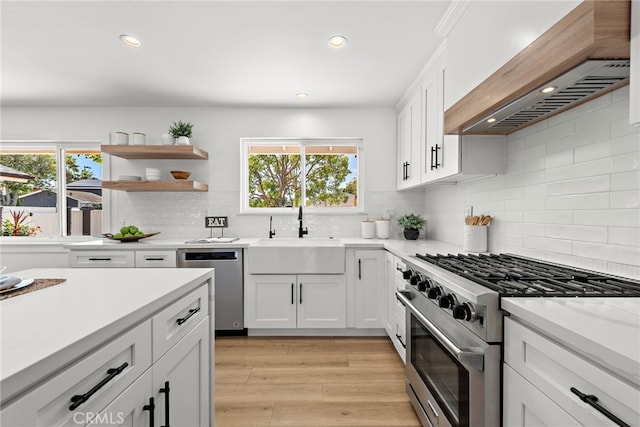 kitchen featuring appliances with stainless steel finishes, a sink, premium range hood, plenty of natural light, and recessed lighting