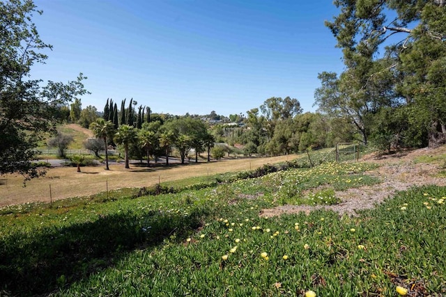 5221 Olive Hill Rd, Fallbrook, CA 92028 - view of yard with fence