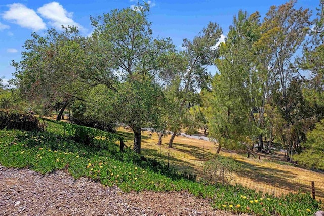 5221 Olive Hill Rd, Fallbrook, CA 92028 - view of yard