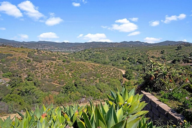 5221 Olive Hill Rd, Fallbrook, CA 92028 - view of mountain backdrop