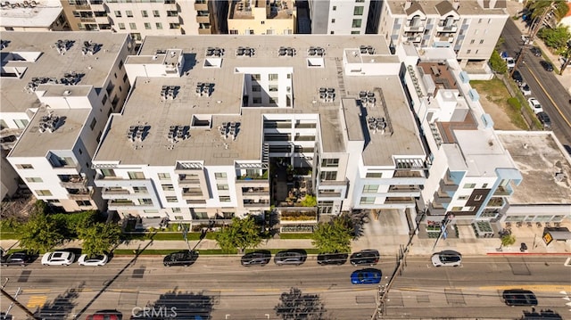 bird's eye view