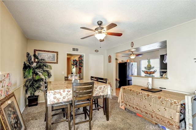 1097 E 28th St, San Bernardino, CA 92404 - photo 10