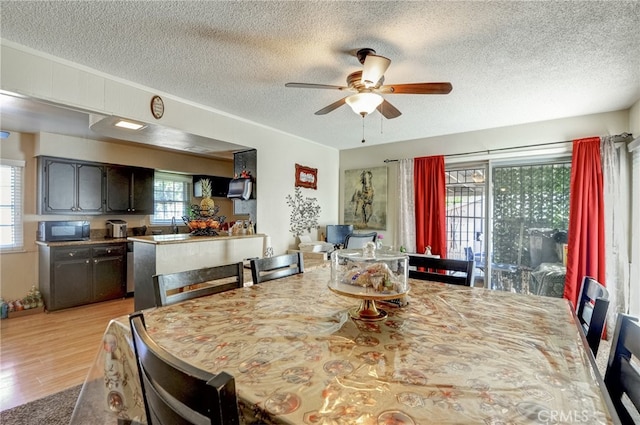 1097 E 28th St, San Bernardino, CA 92404 - photo 9