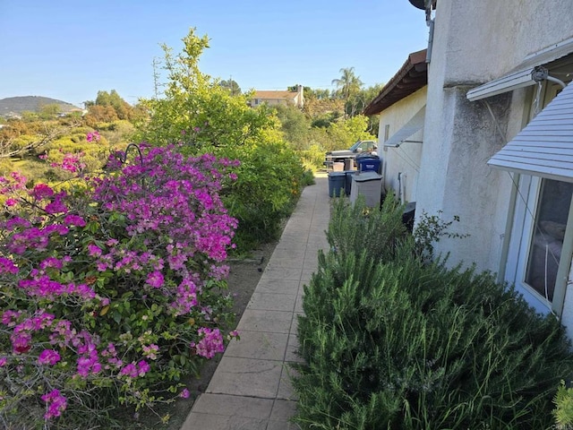 30603 Roadrunner Rdg, Valley Center, CA 92082 - view of yard