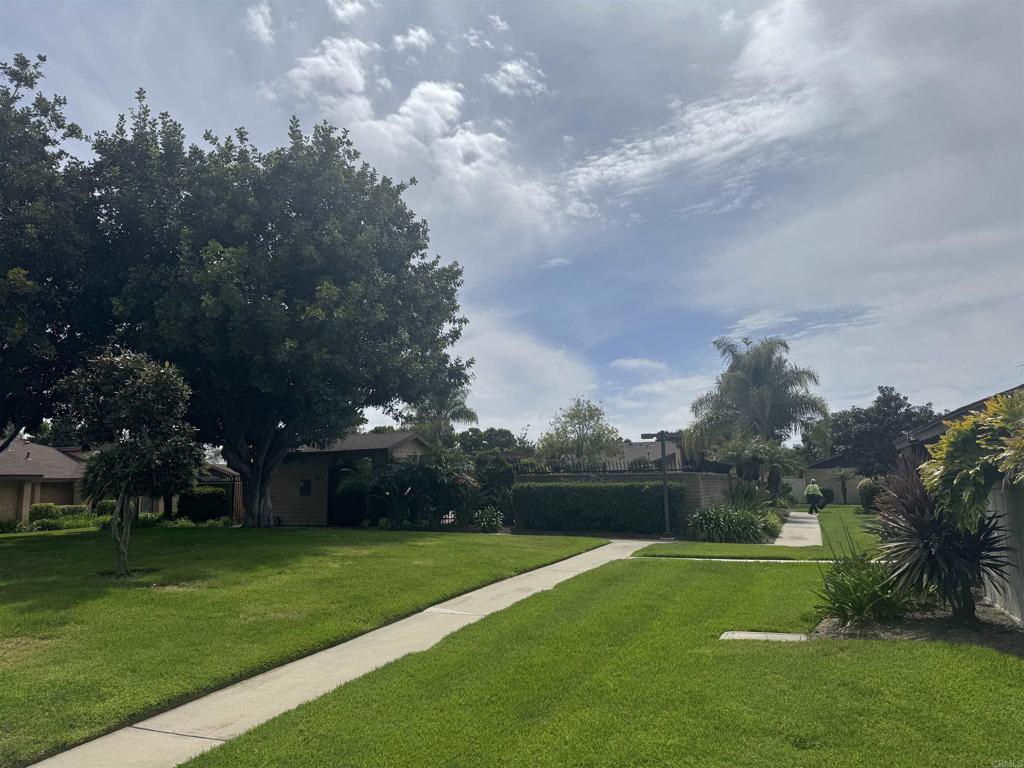 view of green lawn