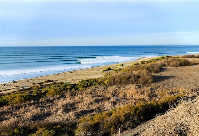 31303 Andres Pico Rd, San Juan Capistrano, CA 92675 - water view