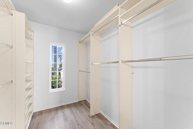 1805 Adelaide Ct, Oxnard, CA 93035 - spacious closet featuring light wood-style flooring