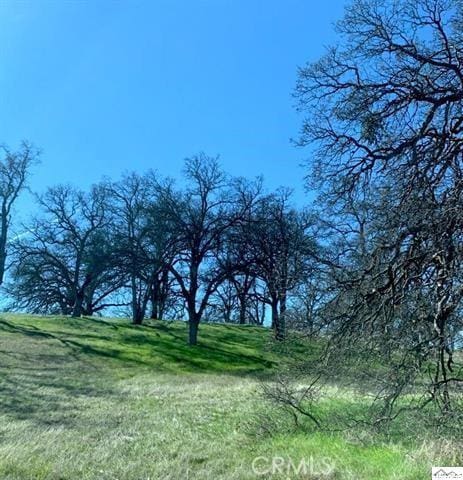 0 Monroe, Red Bluff, CA 96080