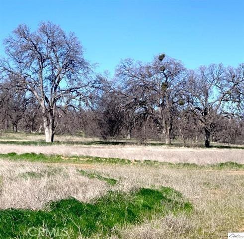 0 Monroe, Red Bluff, CA 96080