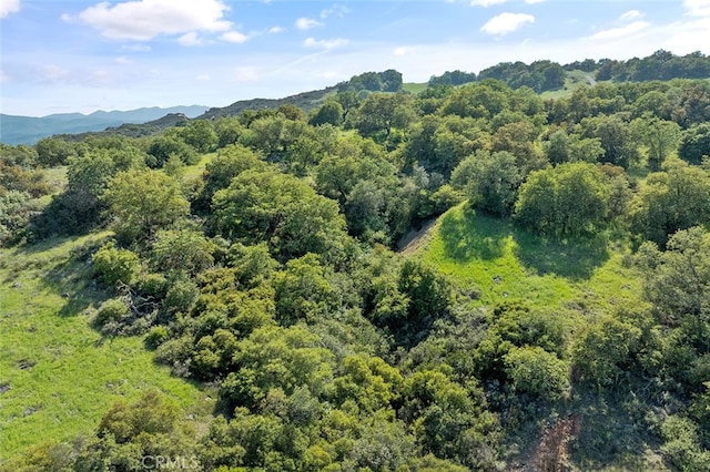 22 El Cerezo Rd, Murrieta, CA 92562 - photo 19