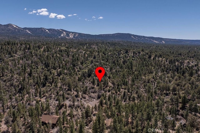 600 Kean Way, Big Bear City, CA 92314 - photo 38