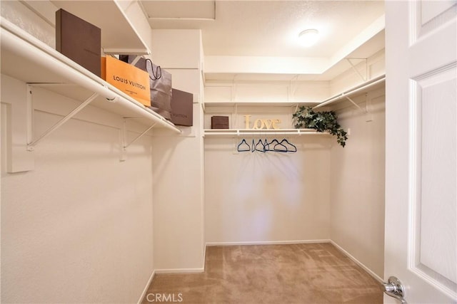 28046 Crystal Spring Dr, Menifee, CA 92584 - walk in closet with carpet flooring