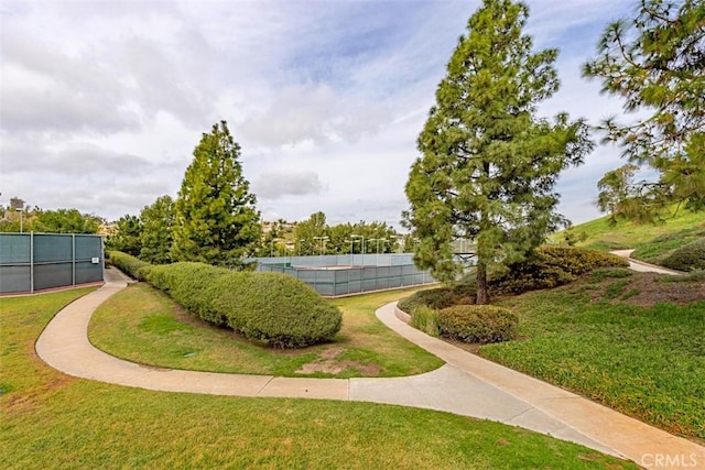24132 Snipe Ln, Laguna Niguel, CA 92677 - view of property's community