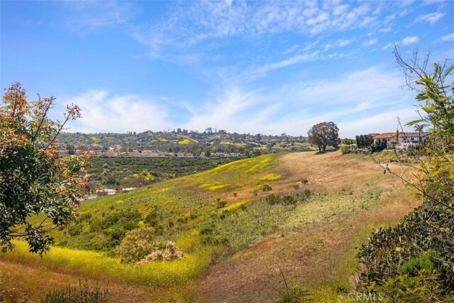 24132 Snipe Ln, Laguna Niguel, CA 92677 - view of yard