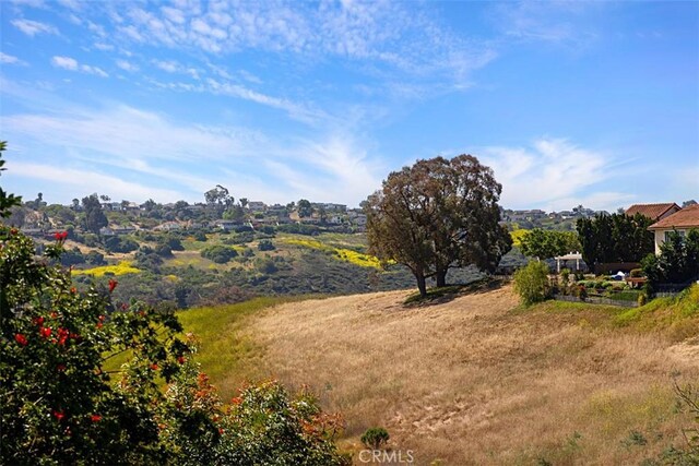 24132 Snipe Ln, Laguna Niguel, CA 92677 - view of yard