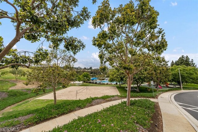 24132 Snipe Ln, Laguna Niguel, CA 92677 - surrounding community featuring volleyball court and a lawn