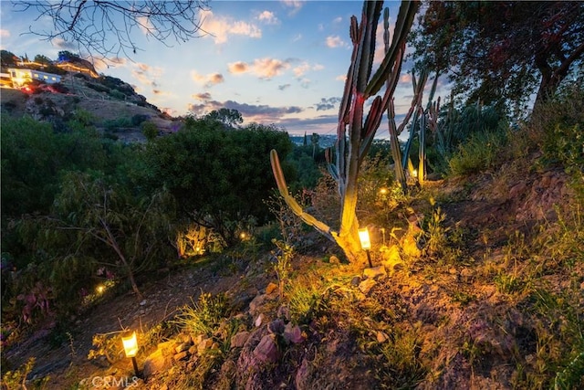 view of nature at dusk