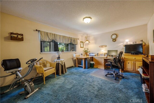 22972 Valley View Dr, Crestline, CA 92325 - office space featuring dark colored carpet and a textured ceiling