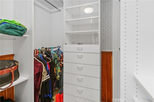44886 Camino Veste, Temecula, CA 92592 - view of spacious closet