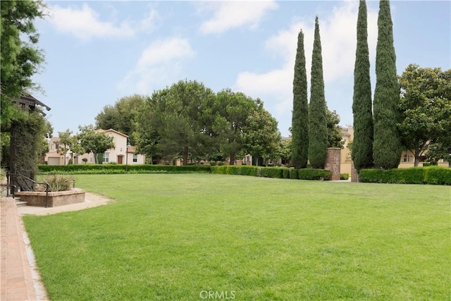 view of grassy yard