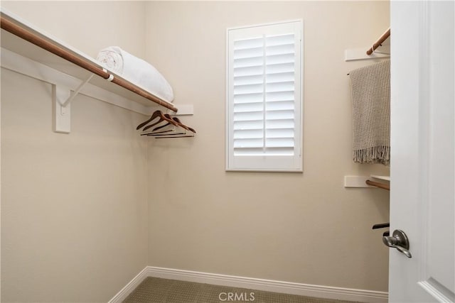 view of spacious closet