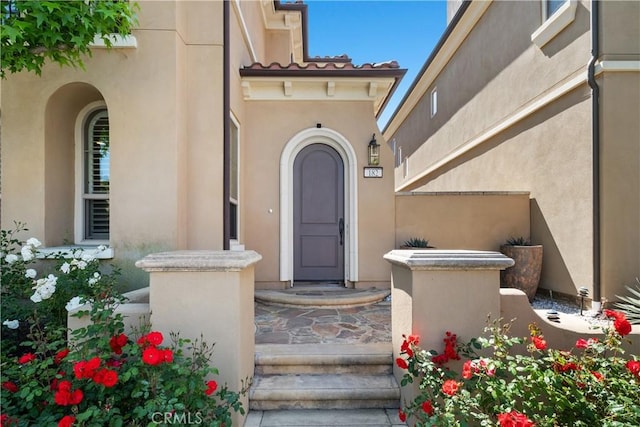 view of exterior entry featuring stucco siding