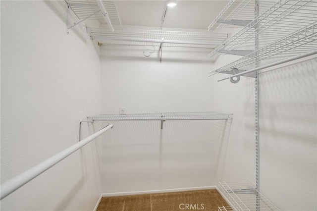 walk in closet with carpet