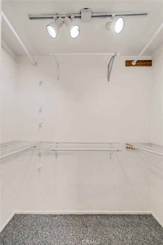 walk in closet featuring carpet floors