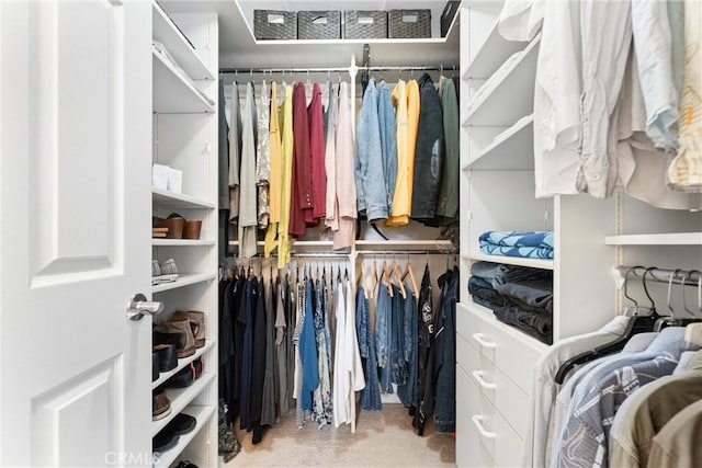 15 Firestone Unit 4, Irvine, CA 92614 - walk in closet with carpet floors