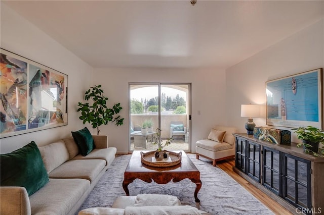 living room featuring wood finished floors