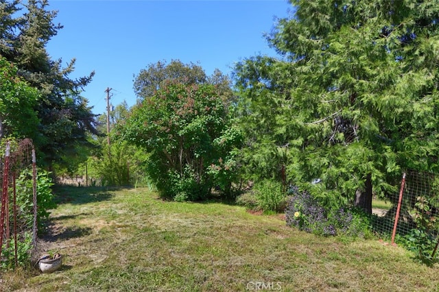 5192 Oak Rd, Mariposa, CA 95345 - view of green lawn